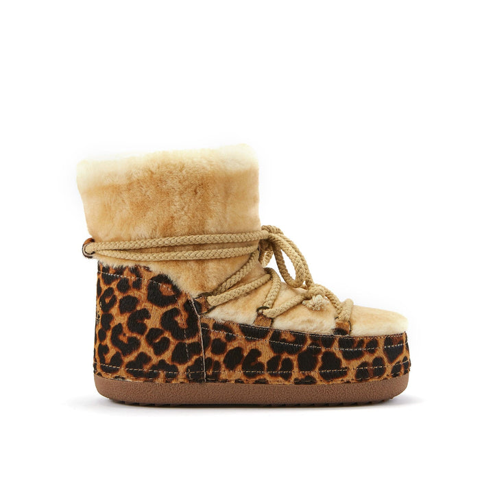 MANON LEOPARD
