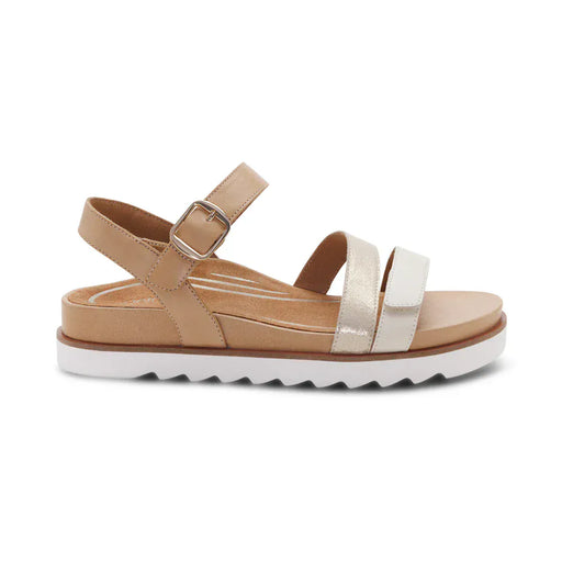 AETREX SANDAL EU 35 ( US 5-5.5 ) / champagne multi Cass   Arch   Support   Sandal Cass   Arch   Support   Sandal