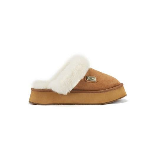 Australia Luxe Collective SLIPPERS 5 / CHESTNUT MULE PLATFOAM SUEDE CHESTNUT 5056445076761 MULE PLATFOAM SUEDE CHESTNUT
