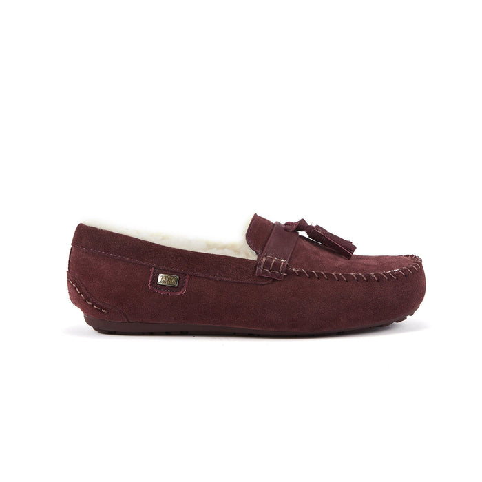 Australia Luxe Collective SLIPPERS 7 / WINDSOR MENS HAMILTON WINDSOR 5056445083431 MENS HAMILTON WINDSOR