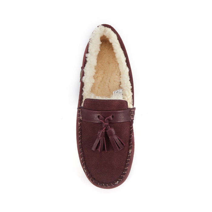 Australia Luxe Collective SLIPPERS MENS HAMILTON WINDSOR MENS HAMILTON WINDSOR