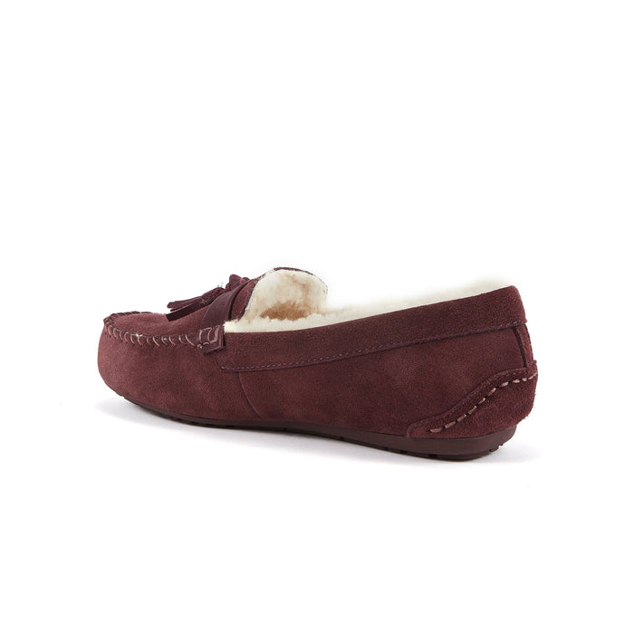 Australia Luxe Collective SLIPPERS MENS HAMILTON WINDSOR MENS HAMILTON WINDSOR