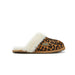Australia Luxe Collective SLIPPERS XS / LEOPARD CLOSED MULE LEOPARD 5056445080850 CLOSED MULE LEOPARD