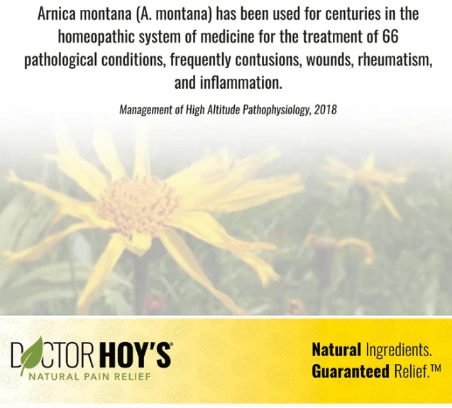 Doctor Hoy's LOTION Doctor Hoy's Natural Arnica Boost Recovery Cream (6 oz.) | To Reduce Inflammation & Bruising 310842000206 Doctor Hoy's Natural Arnica Boost Recovery Cream (6 oz.) | To Reduce Inflammation & Bruising