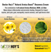 Doctor Hoy's LOTION Doctor Hoy's Natural Arnica Boost Recovery Cream (6 oz.) | To Reduce Inflammation & Bruising 310842000206 Doctor Hoy's Natural Arnica Boost Recovery Cream (6 oz.) | To Reduce Inflammation & Bruising