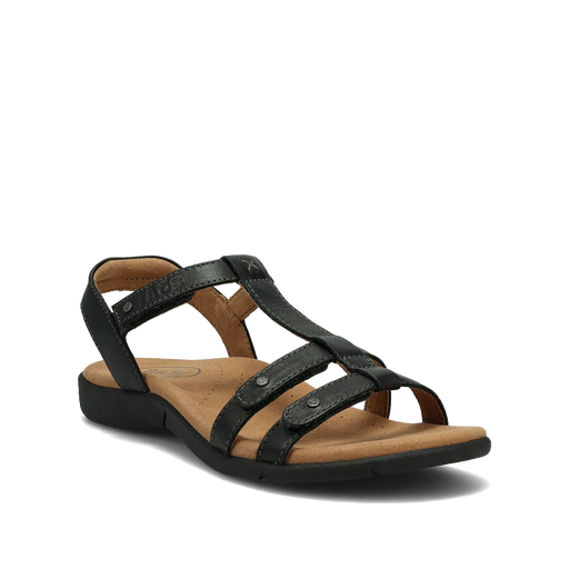TAOS SANDAL 5 / Black / Medium Trophy 2 Trophy 2