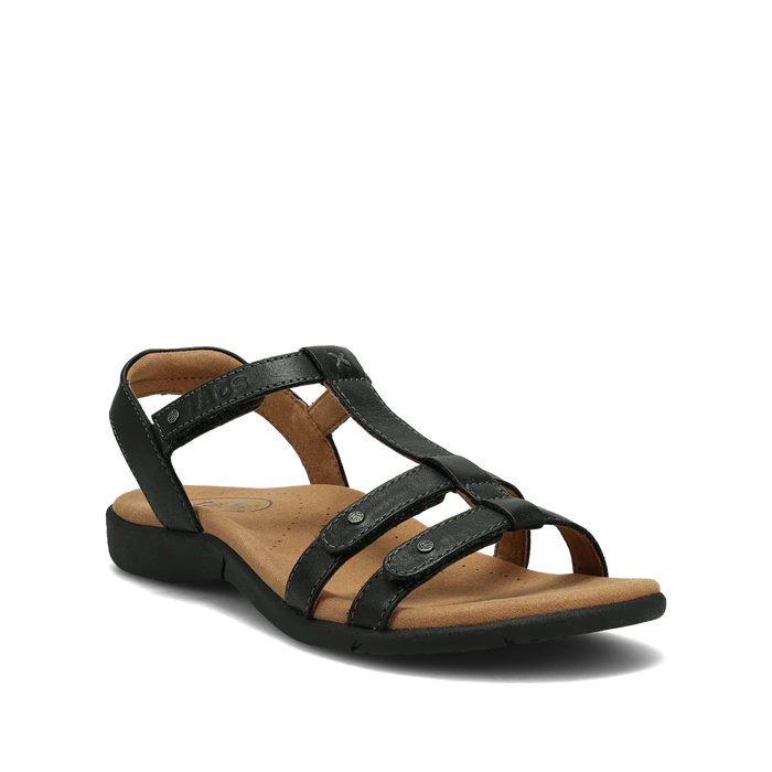 TAOS SANDAL 5 / Black / Medium Trophy 2 Trophy 2